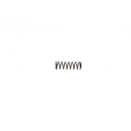 CZ Kadet extractor spring